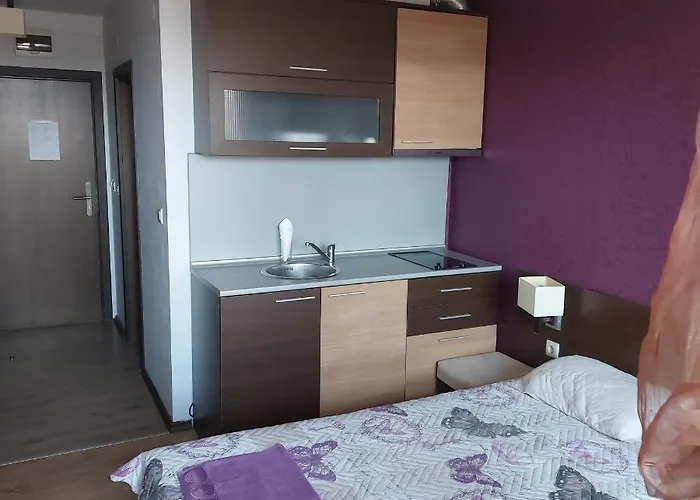 комплекс александьр между и село бяня Apartment Bansko